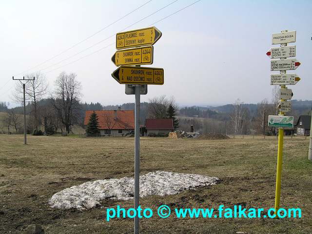 img00006.jpg