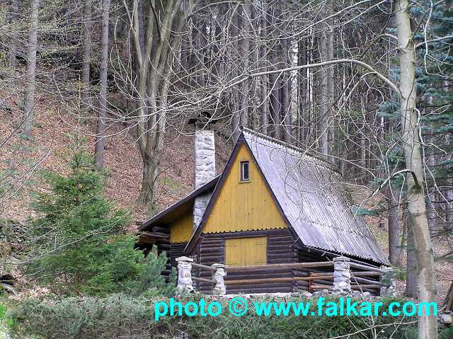 img00004.jpg