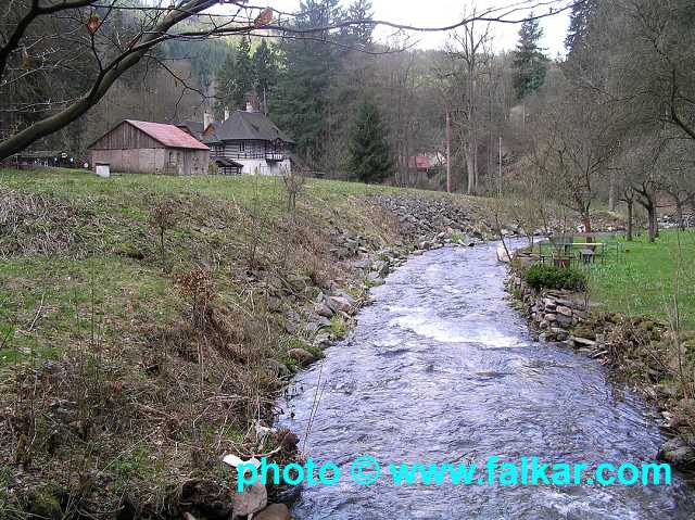 img00005.jpg